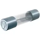 Püschel Feinsicherungen FSF16,0B FSF16,0B Micro-fusible (Ø x L) 5 mm x 20 mm 16 A 250 V rapide -F- Contenu 10 pc(s)