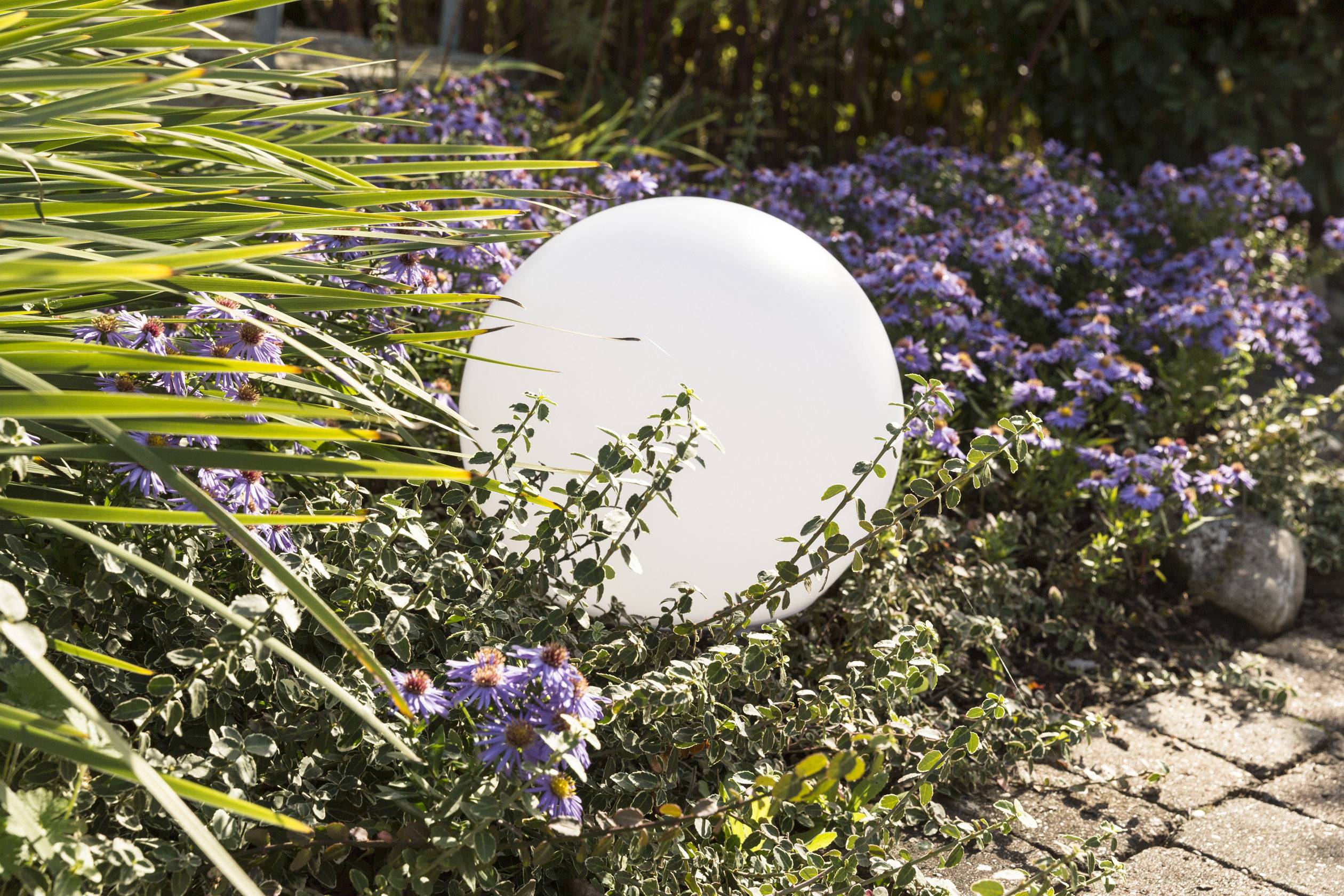 Un grand ballon blanc repose entre des plantes en fleurs mauves et des herbes vertes dans un jardin ensoleillé.