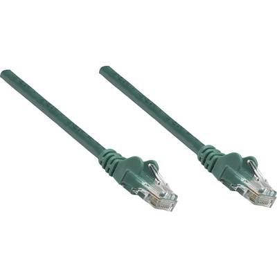 Deux câbles Ethernet verts avec des connecteurs RJ45 côte à côte, probablement utilisés pour une connexion réseau.