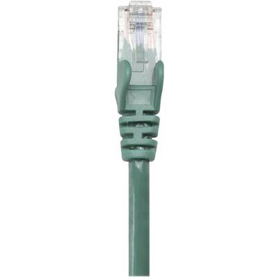 Un câble Ethernet vert avec un connecteur RJ45 transparent, utilisé pour la connexion réseau.