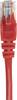 Intellinet 739801 RJ45 Câble réseau, câble patch CAT 6 S/FTP 0.25 m rouge feuille de blindage, blindage par tresse, sans halogène 1 pc(s)