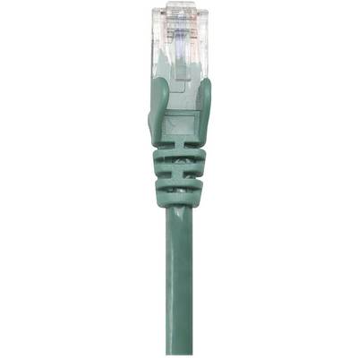 Câble Ethernet vert avec connecteur RJ-45 transparent, utilisé pour la connexion réseau.