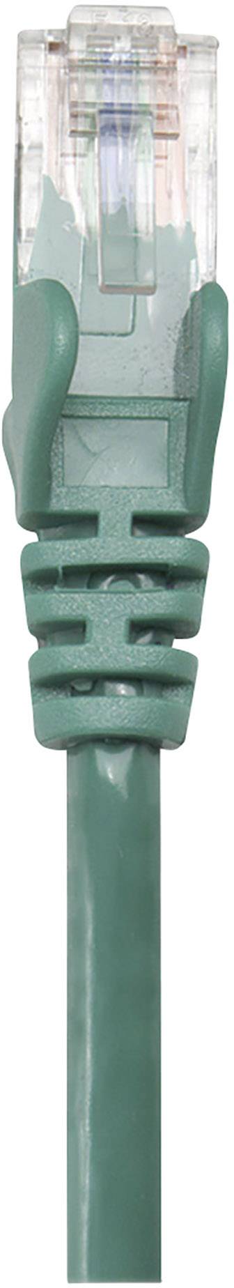 Câble Ethernet vert avec connecteur transparent. Adapté pour les connexions réseau à haute vitesse.