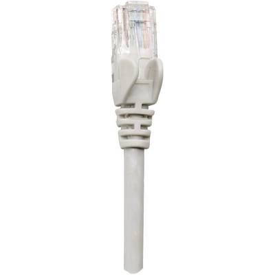 Un câble Ethernet gris avec une fiche RJ-45, utilisé pour les connexions réseau.