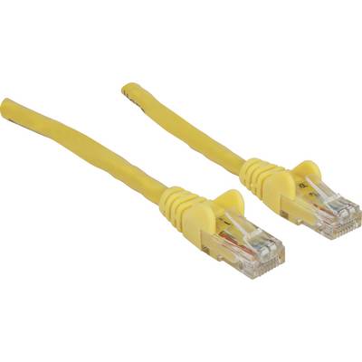 Deux câbles Ethernet jaunes avec des connecteurs RJ45, posés côte à côte.