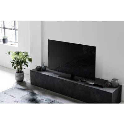 Un téléviseur moderne est posé sur un meuble TV noir à côté d'une plante en pot verte, dans une pièce lumineuse avec moquette.