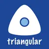 L'image représente un triangle stylisé blanc avec un cercle bleu en son centre sur un fond bleu. En dessous est écrit 'triangular'.