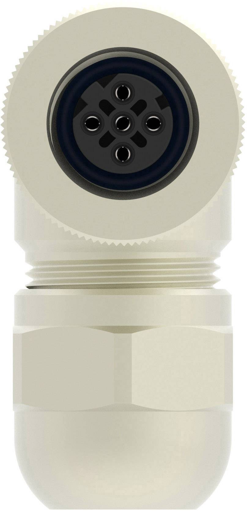 Un connecteur électrique cylindrique à douille hexapolaire. Boîtier beige, adapté aux applications industrielles.
