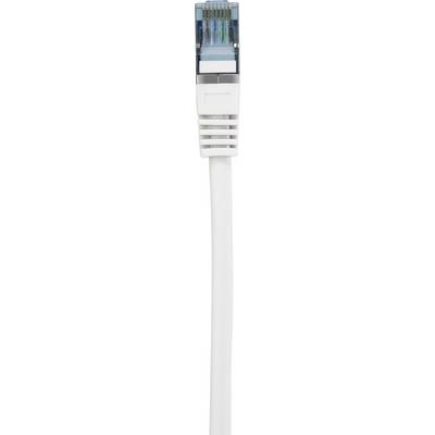 Un câble Ethernet blanc avec une fiche RJ-45, utilisé pour les connexions réseau dans les réseaux informatiques.