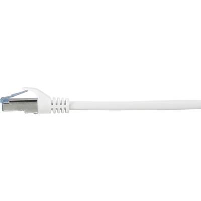 Un câble Ethernet blanc avec une fiche RJ-45, utilisé pour connecter des ordinateurs et des appareils à un réseau.