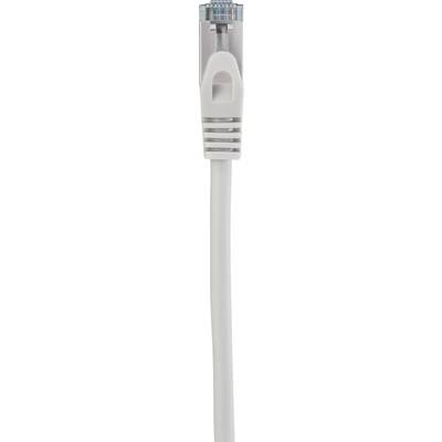 Un câble Ethernet blanc avec une fiche RJ45, utilisé pour les connexions réseau.