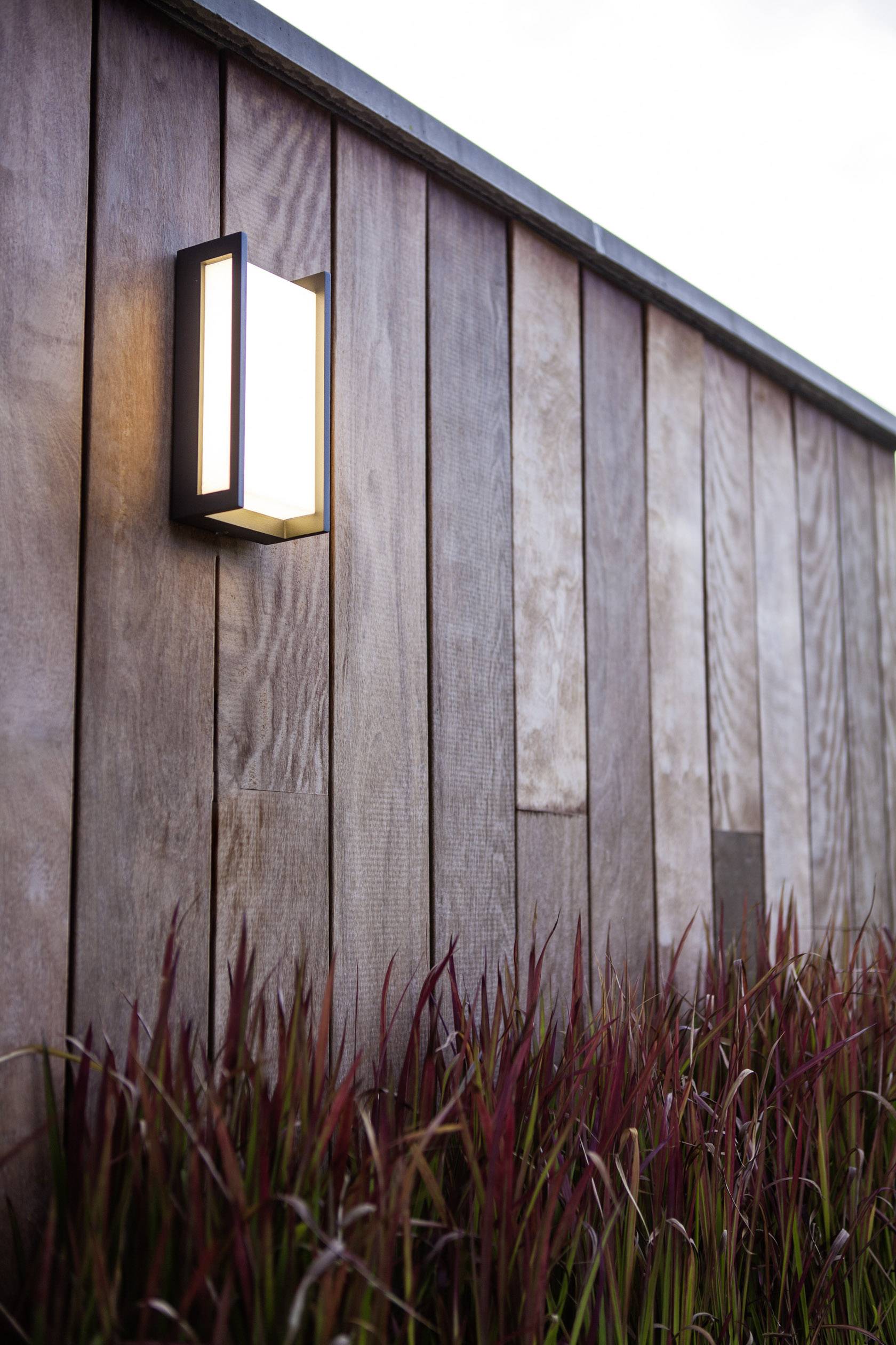Un mur en bois surmonté d'une lampe extérieure rectangulaire et lumineuse. Devant, des plantes aux pointes rouges poussent.
