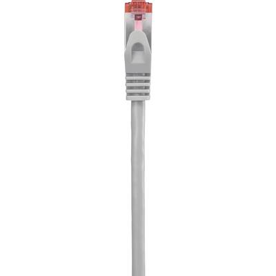 Câble Ethernet gris avec un connecteur rouge, typiquement utilisé pour les connexions réseau.