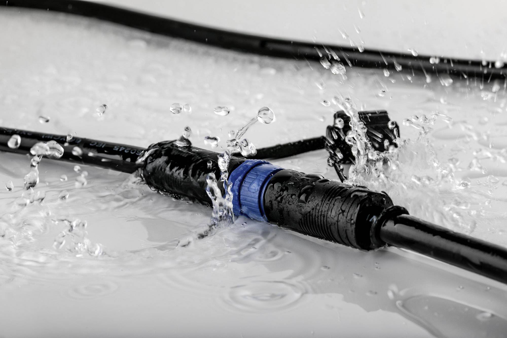 Connecteur étanche sur surface humide. Le connecteur est noir avec un anneau bleu et montre une connexion étanche.