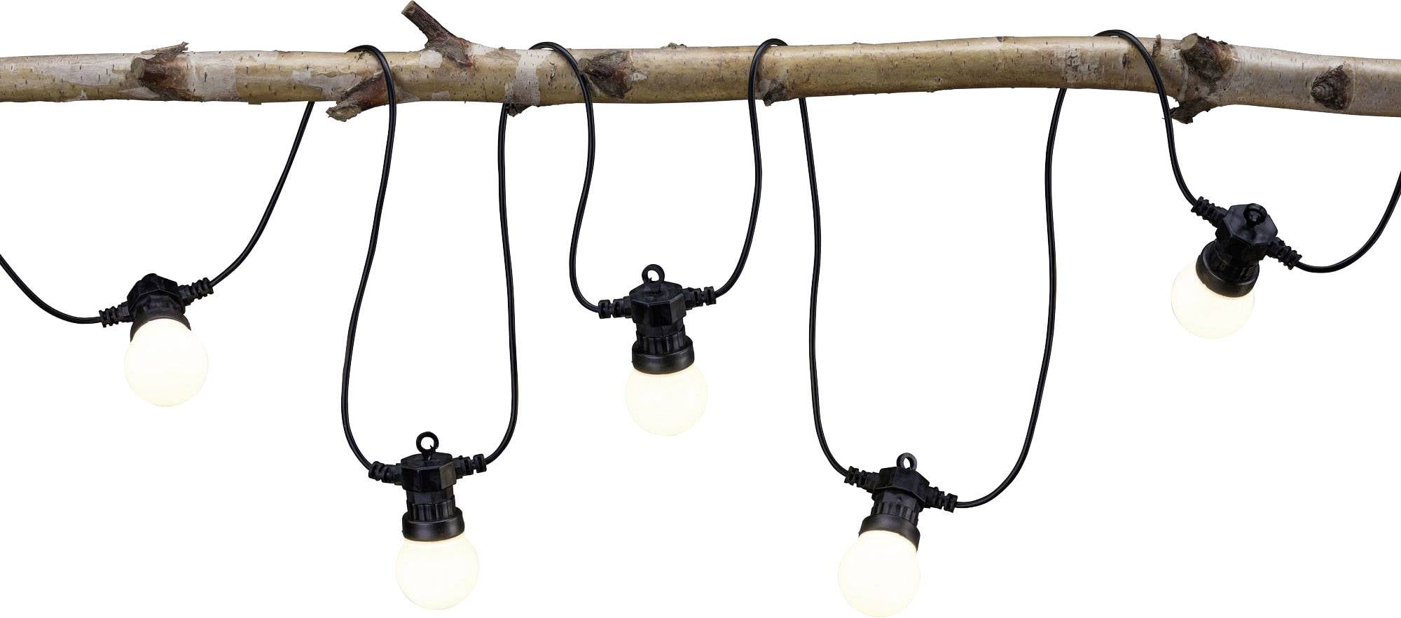 Une rangée de cinq ampoules rondes lumineuses est suspendue à une branche. Les ampoules sont réparties uniformément et émettent une lumière chaleureuse.