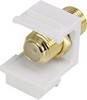 Renkforce RF-KS-FKP Module encastrable F Keystone 1 pc(s)