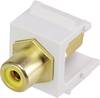Renkforce RF-KS-RCAFG Module encastrable Cinch Keystone 1 pc(s)