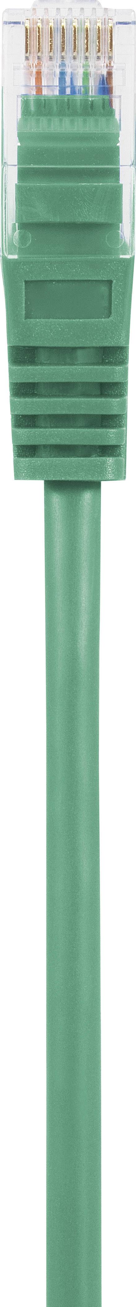 Câble Ethernet vert avec connecteur RJ-45. Adapté pour connecter des ordinateurs à un réseau.