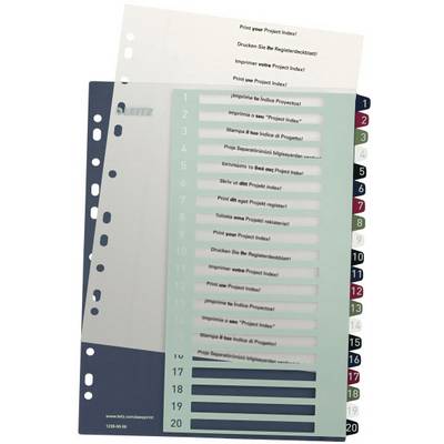 Classeur Leitz avec 20 intercalaires numérotés et perforés de différentes couleurs, conçu pour l'organisation de documents.