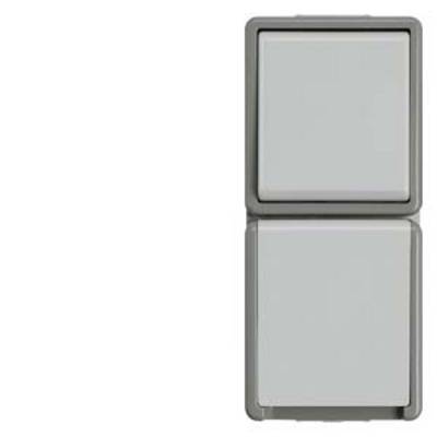 Interrupteur double gris avec touches carrées, adapté à une utilisation dans des environnements humides, monté sur un mur blanc.
