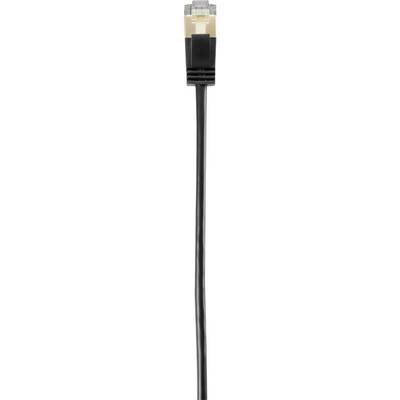 Un câble Ethernet noir avec une fiche RJ45.