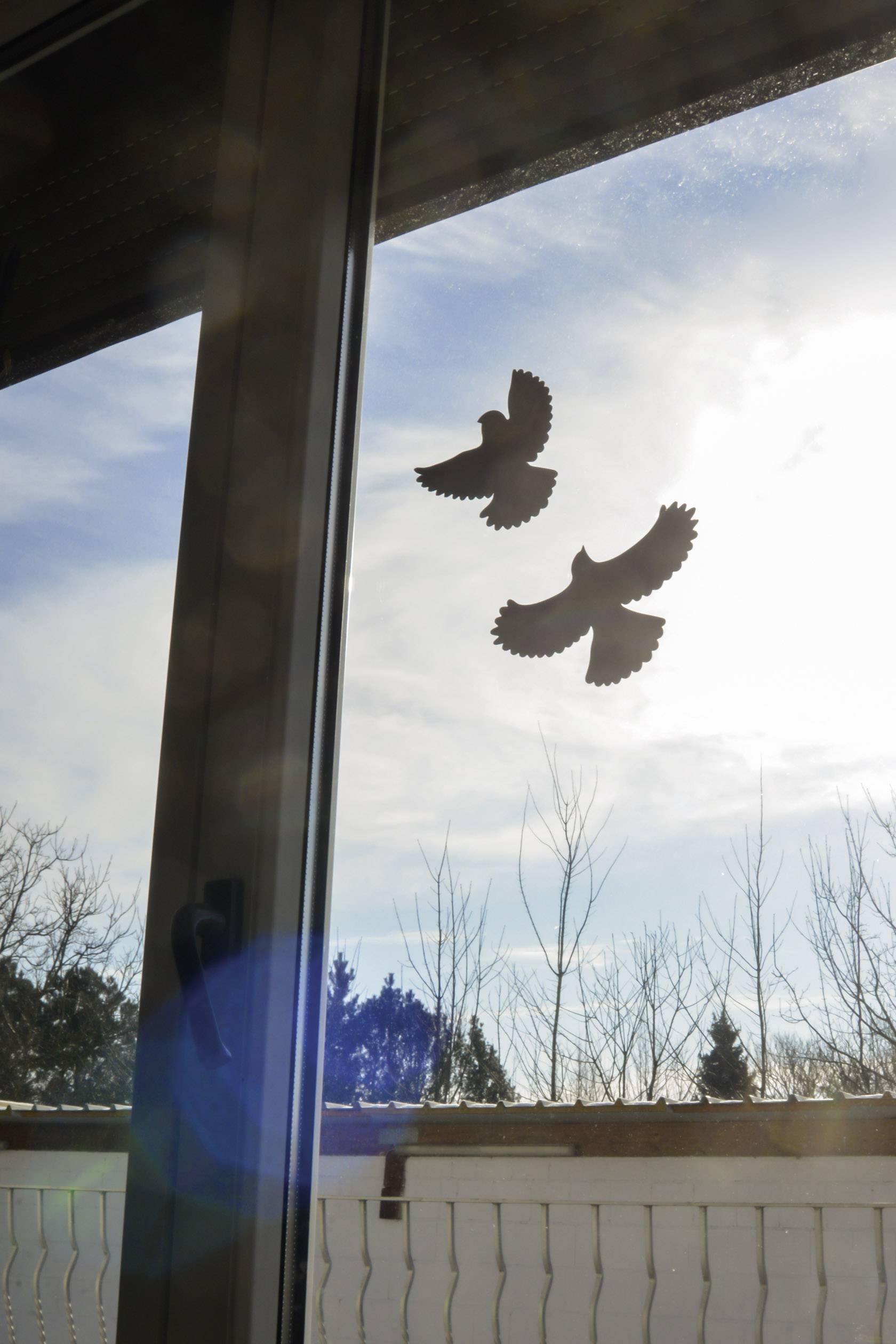 Autocollant de fenêtre d'oiseau Gardigo Birdprotection Type de fonctions effet dissuasif 5 pc(s)-3