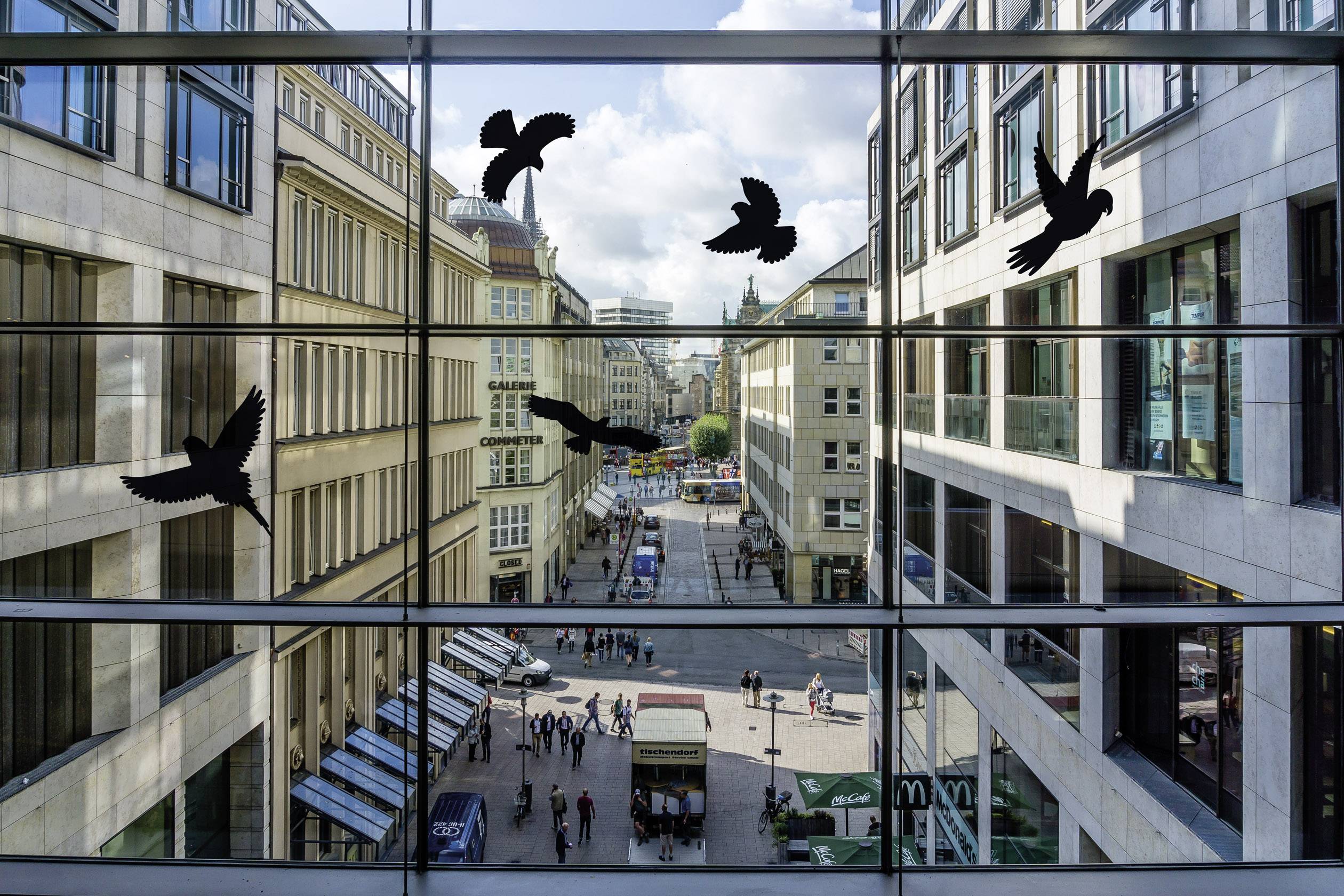 Autocollant de fenêtre d'oiseau Gardigo Birdprotection Type de fonctions effet dissuasif 5 pc(s)-7