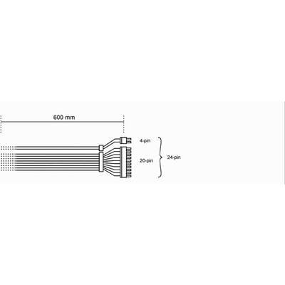 Diagramme d'un câble à 24 broches d'une longueur de 600 mm. Comprend une section de 20 broches et une section de 4 broches pour l'alimentation électrique.