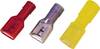Cosse clip 6.3 mm x 0.8 mm Weidmüller LIF 1,5F638 RF 9200640000 180 ° entièrement isolé rouge 100 pc(s)