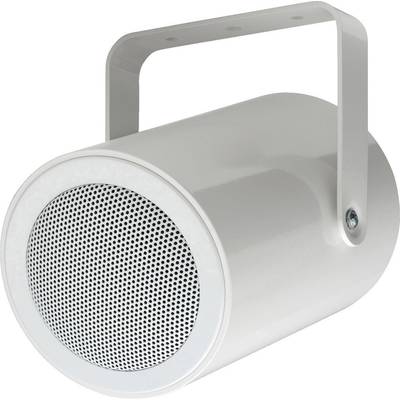 Un haut-parleur blanc cylindrique avec une poignée et une grille à l'avant, adapté à une installation murale intérieure.