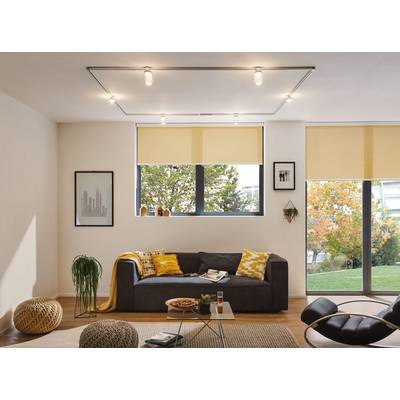 Un salon avec un canapé gris et des coussins jaunes, une table basse, de grandes fenêtres donnant sur des arbres d'automne à l'extérieur.