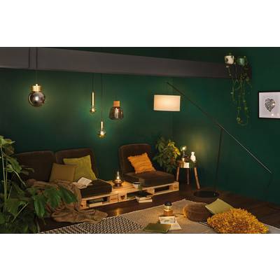 Salon confortable avec des murs sombres, canapé en palette, lumière chaleureuse, plantes et tapis. Atmosphère accueillante et détendue.