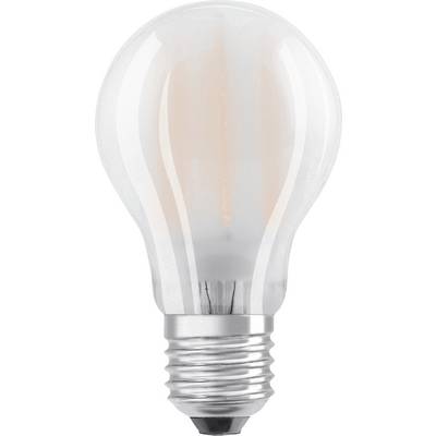 Une ampoule à surface de verre transparente avec un filament visible, debout verticalement sur un fond blanc.