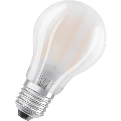 Une ampoule avec douille métallique sur fond blanc.
