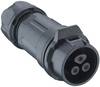 Lutronic 2440 02 T09 CB A Connecteur rond femelle, droit Nombre total de pôles: 2 1 pc(s)