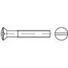 TOOLCRAFT TO-5358501 Vis à tête bombée fraisée M2 20 mm plat DIN 964 acier inoxydable A4 200 pc(s)