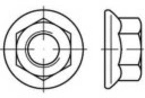TOOLCRAFT  TO-5360868 Écrou hexagonal M6      acier inoxydable A4 1000 pc(s)