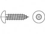 Article 88114 A 2 vis anti-dérapantes rondes en acier, tête de lentille DIN 7981, tôle, acier inoxydable, ISR et ergot, dimensions : 5,5 x 19 (100 pièces)