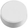 Maul Aimant MAULpro (Ø x H) 34 mm x 13 mm rond blanc 20 pc(s) 6178102
