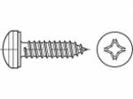 Article 88981 article 7981 en acier galvanisé avec capuchon de vis à tôle à tête cruciforme Phillips, H, avec pointe, dimensions : 3,9 x 13 -H