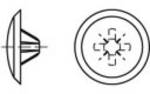 Article 88002 KS-Z en plastique blanc caches décoratifs m. Profil cruciforme pour vis tête fraisée m. Tournevis cruciforme Pozidriv Z, dimensions : 3 x 13 / 5,5-6