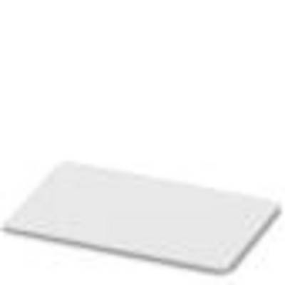 Une surface blanche, rectangulaire et plate, probablement une table ou une planche, sur un fond clair.