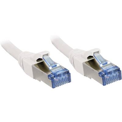 Deux câbles Ethernet blancs avec des connecteurs bleus.