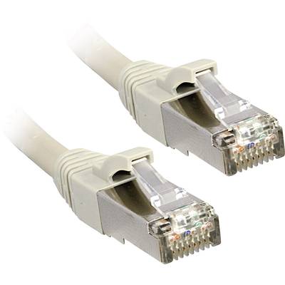 Deux câbles réseau avec fiches RJ45, adaptés aux connexions Ethernet, représentés sur un fond blanc.
