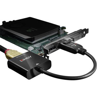 Carte graphique de LINDY avec câbles HDMI et DisplayPort connectés. Matériel technique pour ordinateur.