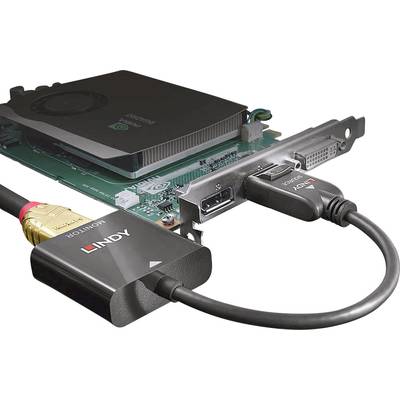 'Carte graphique avec ports : DVI, HDMI et DisplayPort. Un câble HDMI est connecté à un convertisseur, marqué "LINDY".'