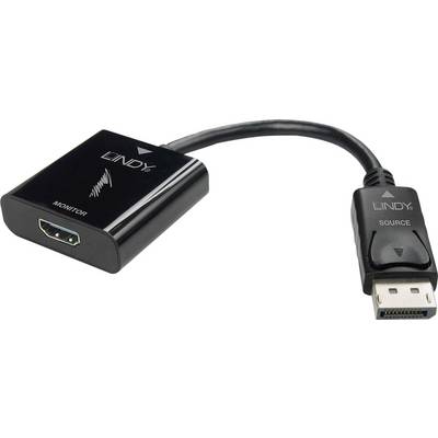 Un adaptateur noir HDMI vers DisplayPort avec câble, portant les mentions 'LINDY' et 'SOURCE'.