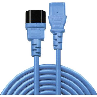 Câble réseau bleu avec connecteurs IEC, l'un noir, l'autre bleu, montrant les connexions et le long câble.