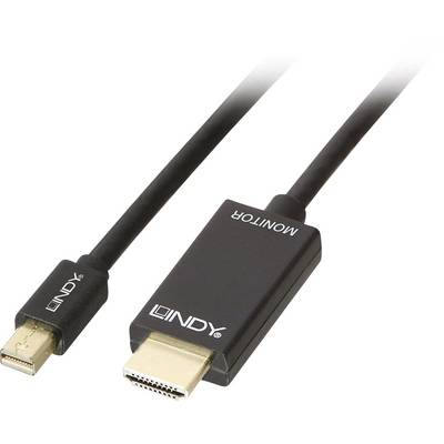 Deux câbles avec fiches HDMI et Mini-DisplayPort, de couleur noire, de la marque 'Lindy'. Idéaux pour connecter des appareils avec différents types de ports.