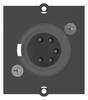 BACHMANN Module Custom 1 x fiche XLR, 5 pôles noir
